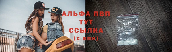 молекула духа Нефтекумск