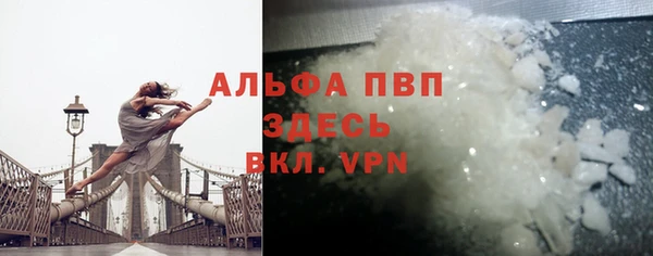 твердый Новозыбков