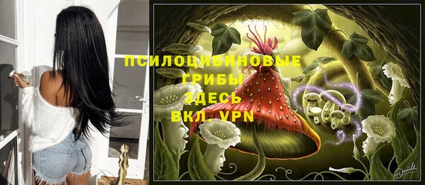молекула духа Нефтекумск