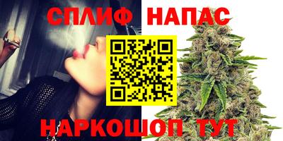 герыч Дубна