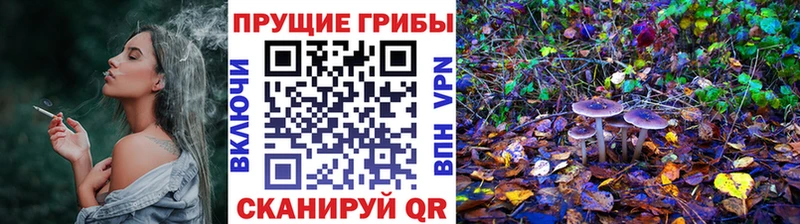 продажа наркотиков  MEGA ONION  Галлюциногенные грибы MAGIC MUSHROOMS  Майский 
