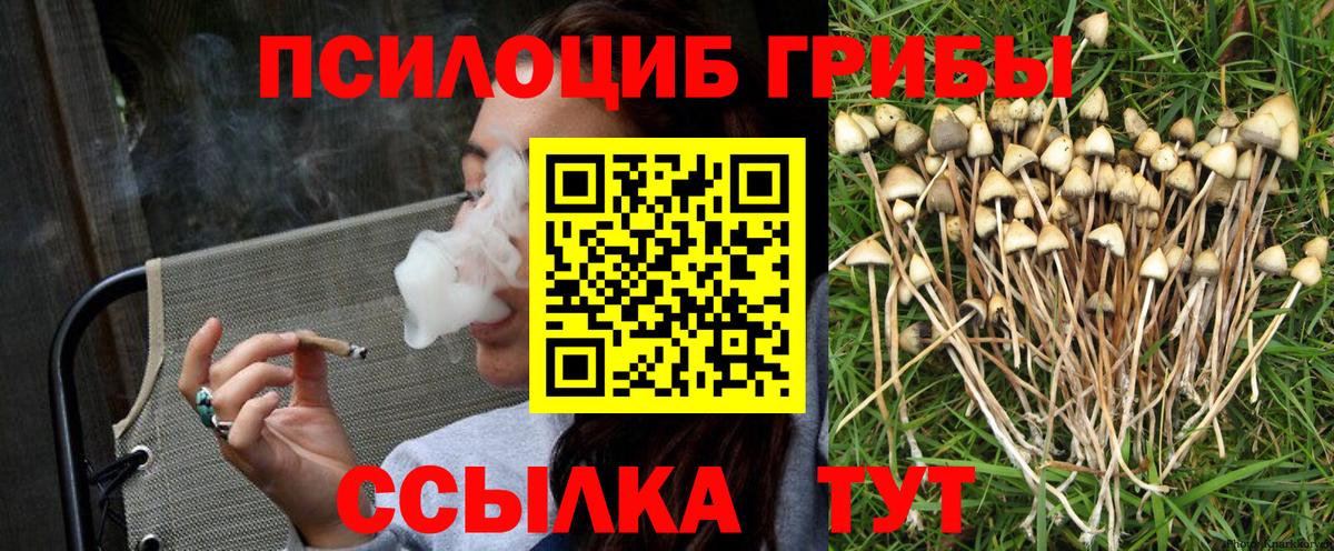 Псилоцибиновые грибы MAGIC MUSHROOMS  Псилоцибиновые грибы Cubensis  Майский 