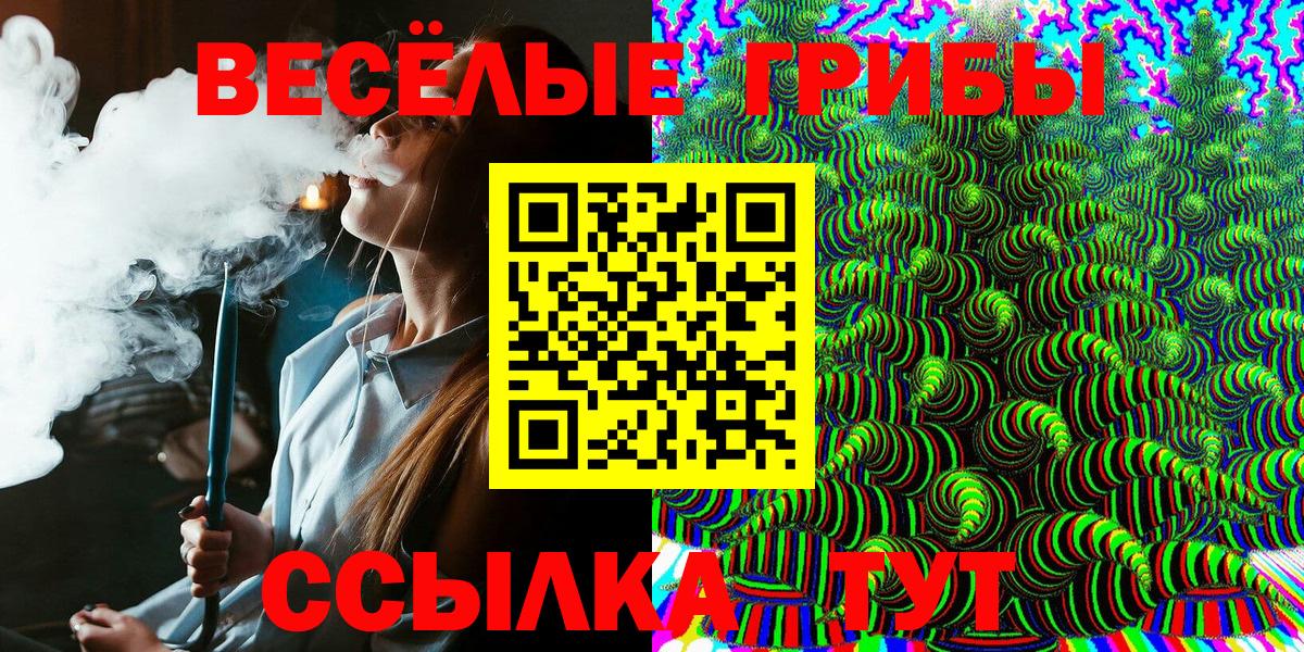 хочу   Вход с VPN  Майский  Псилоцибиновые грибы Magic Shrooms 