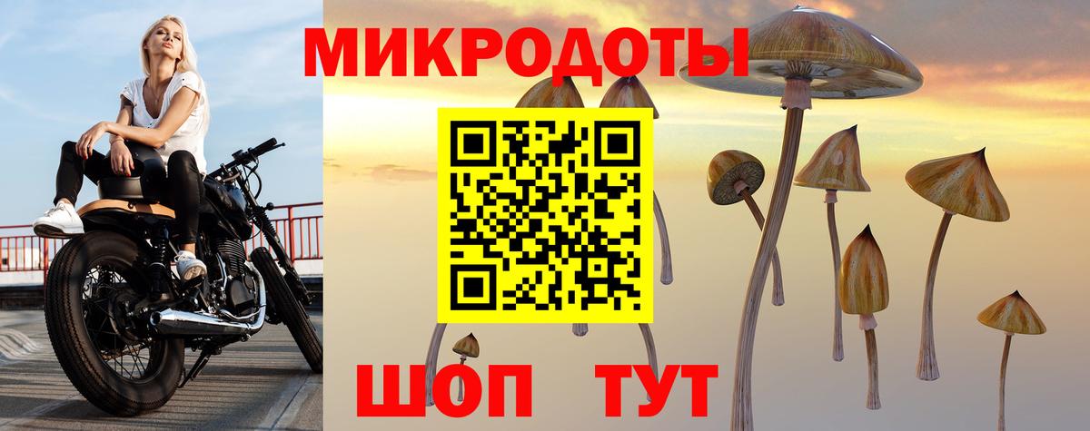 Галлюциногенные грибы мицелий Майский
